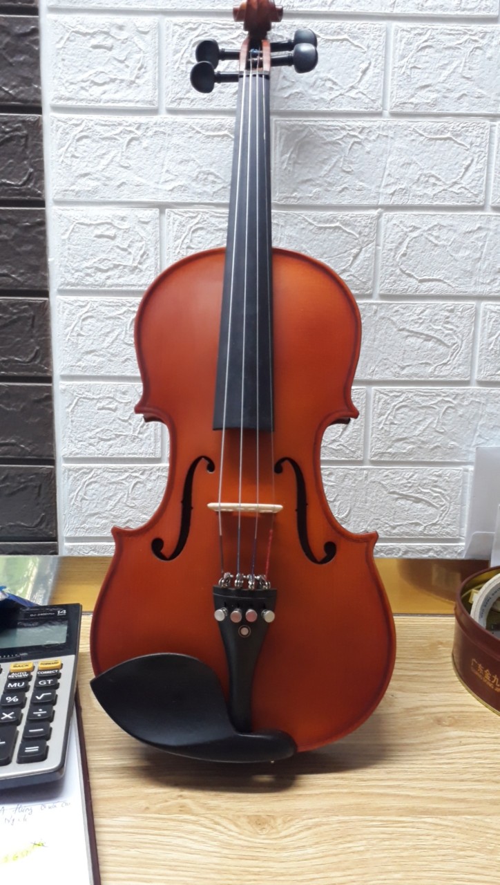 Violin NK1