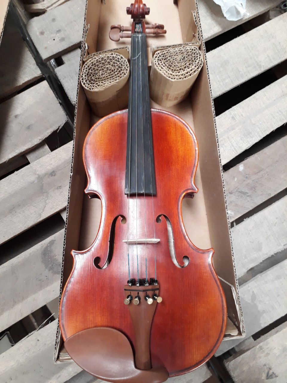 Violin Costcao Sv17